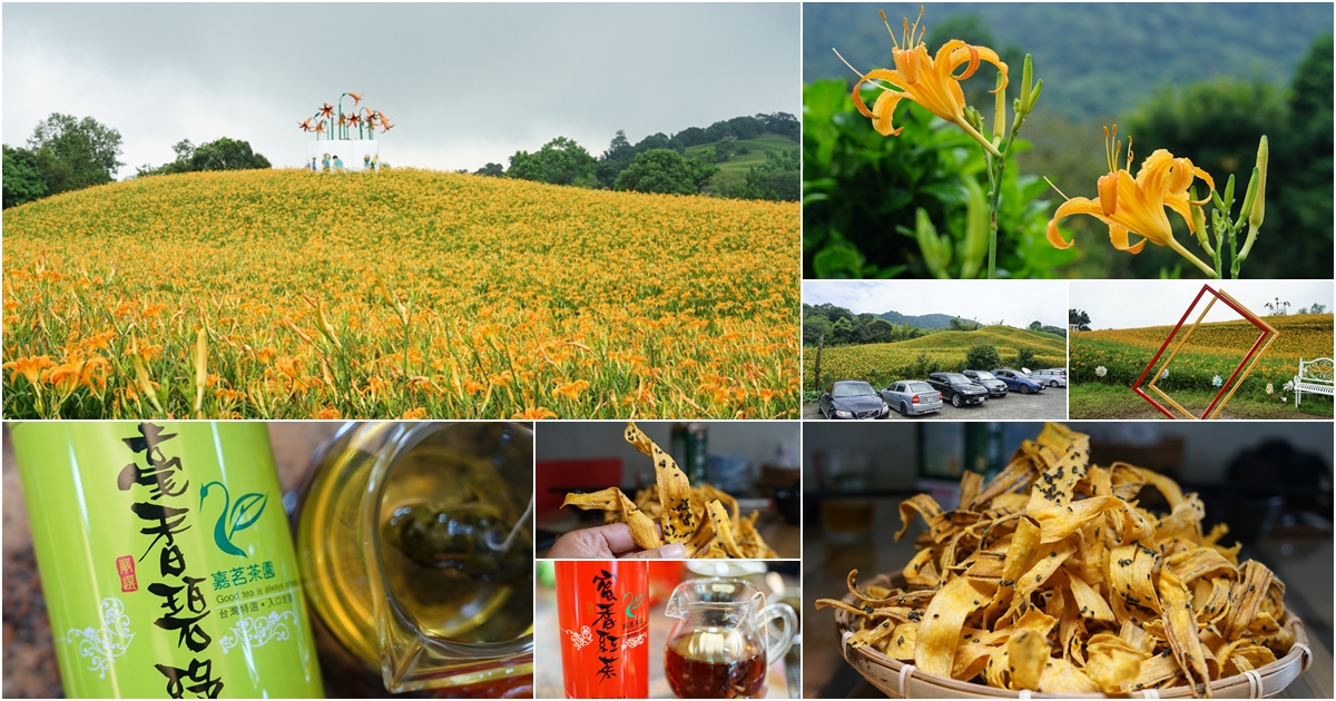 [花蓮景點] 花蓮景點懶人包，花蓮旅遊景點推薦 太魯閣、花東縱谷、台11線海邊IG熱門景點 花蓮景點懶人包