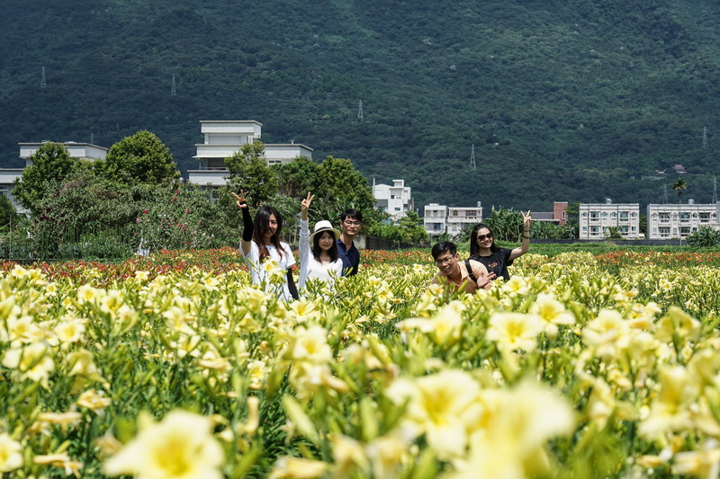 [花蓮免費景點]2018平地金針花海   IG網美必去拍照打卡熱門景點  花期長至端午節連假都看得到唷-嘉德萱草花田