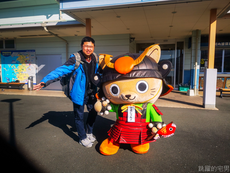 [四國愛媛旅遊]你所不知道的宇和島景點美食 5天4夜開車自駕行程推薦  體驗300年日本鬥牛文化  穿上盔甲品嘗400年前籓主料理 只給台灣人的免費機場巴士 宇和島觀光地圖下載 宇和島名產 鯛魚全席 珍珠DIY  四國愛媛自由行