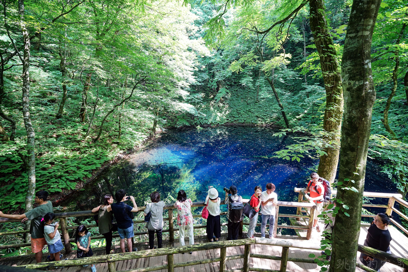 [日本青森景點]翠綠山林中璀璨的藍寶石，從此記下妳眼中那抹蔚藍 白神山地十二湖 青池