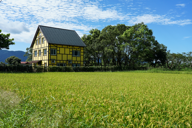 [花蓮壽豐住宿推薦]伊莉莎白小屋民宿-擁有大片綠色草地 聞著稻香 彷彿就到了歐洲，閣樓式四人房  熊大 拉拉熊房間也太可愛了吧 花蓮民宿推薦