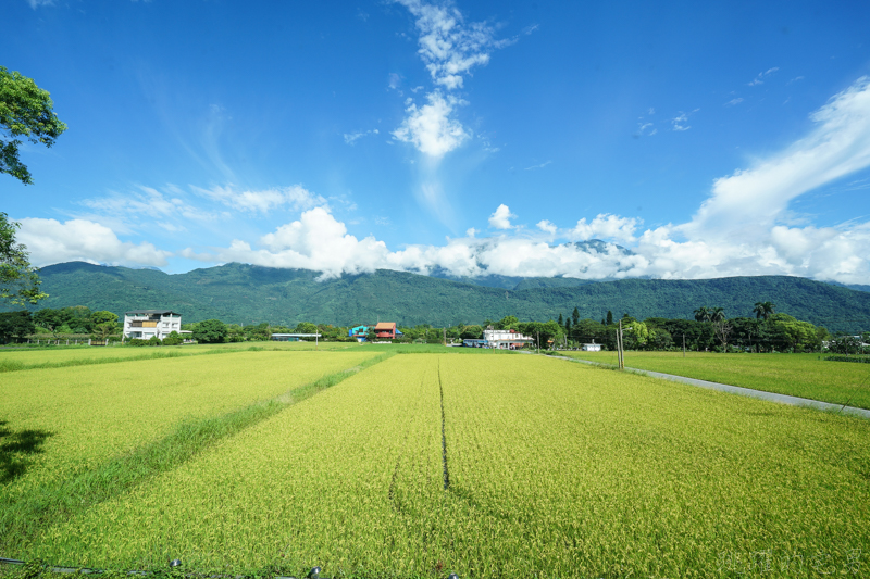 [花蓮壽豐住宿推薦]伊莉莎白小屋民宿-擁有大片綠色草地 聞著稻香 彷彿就到了歐洲，閣樓式四人房  熊大 拉拉熊房間也太可愛了吧 花蓮民宿推薦