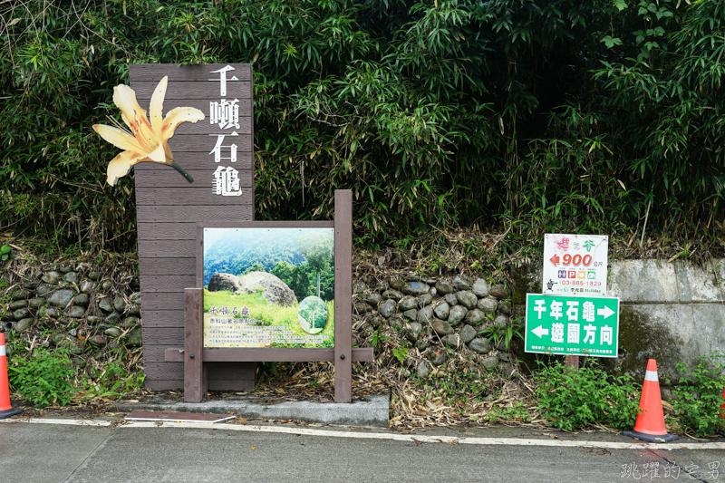 [花蓮金針花季]2019赤科山金針花-金黃色地毯鋪滿山頭 還有很多花沒開 20190820花況 花蓮一日行程推薦 大推原饗屋炸牛蒡 嘉茗茶園 毫香碧綠茶 花蓮vlog