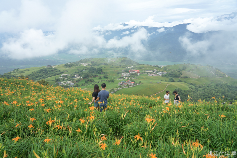 [花蓮景點]六十石山-花蓮金針花 此生必看台灣風景 2019/8/21花況 花蓮旅遊推薦