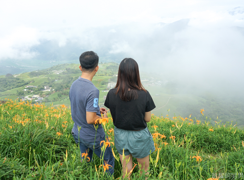 [花蓮景點]六十石山-花蓮金針花 此生必看台灣風景 2019/8/21花況 花蓮旅遊推薦