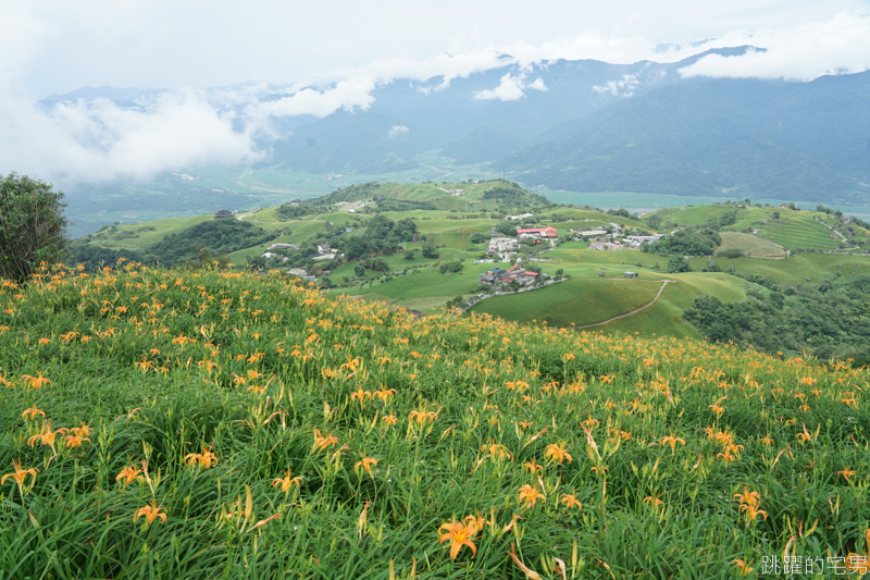 [花蓮景點]六十石山-花蓮金針花 此生必看台灣風景 2019/8/21花況 花蓮旅遊推薦