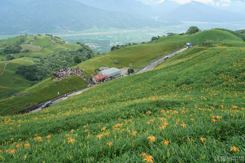 [花蓮景點]六十石山-花蓮金針花 此生必看台灣風景 2019/8/21花況 花蓮旅遊推薦