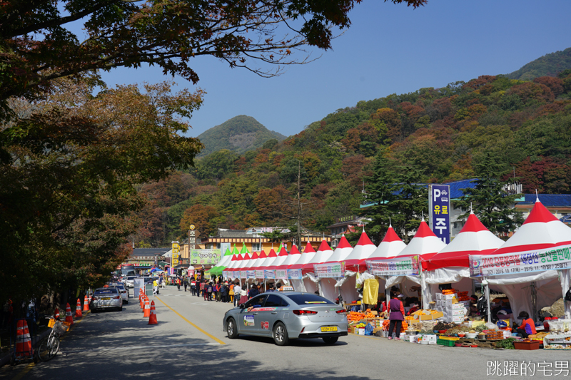 [韓國賞楓]2019內藏山賞楓一日遊，全羅道內藏山楓葉季 綠黃相間 紅葉不同層次的美麗 11/1楓況 全紅大約還要1星期 내장산內藏山等你來唷