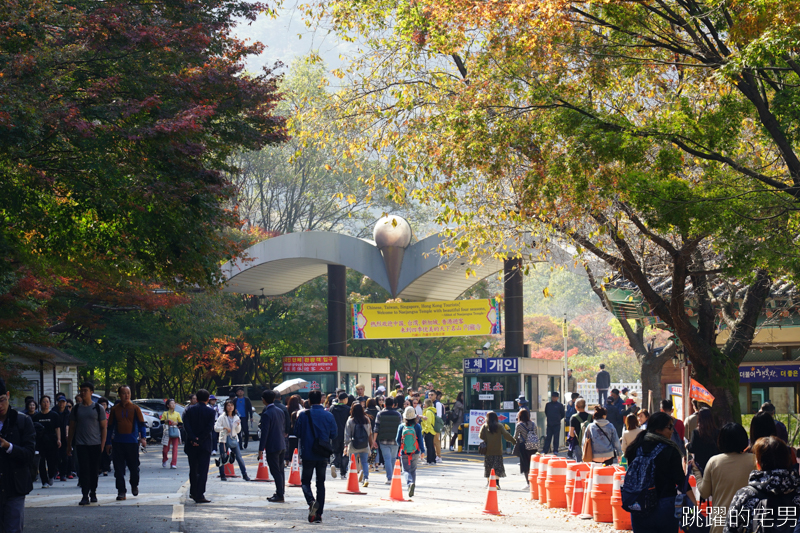 [韓國賞楓]2019內藏山賞楓一日遊，全羅道內藏山楓葉季 綠黃相間 紅葉不同層次的美麗 11/1楓況 全紅大約還要1星期 내장산內藏山等你來唷