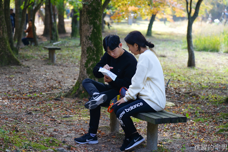 [韓國賞楓]2019內藏山賞楓一日遊，全羅道內藏山楓葉季 綠黃相間 紅葉不同層次的美麗 11/1楓況 全紅大約還要1星期 내장산內藏山等你來唷