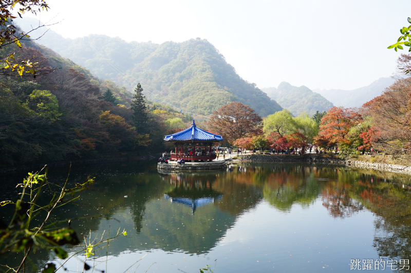 [韓國賞楓]2019內藏山賞楓一日遊，全羅道內藏山楓葉季 綠黃相間 紅葉不同層次的美麗 11/1楓況 全紅大約還要1星期 내장산內藏山等你來唷