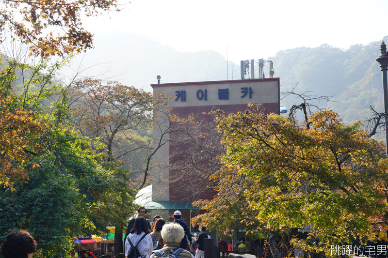 [韓國賞楓]2019內藏山賞楓一日遊，全羅道內藏山楓葉季 綠黃相間 紅葉不同層次的美麗 11/1楓況 全紅大約還要1星期 내장산內藏山等你來唷