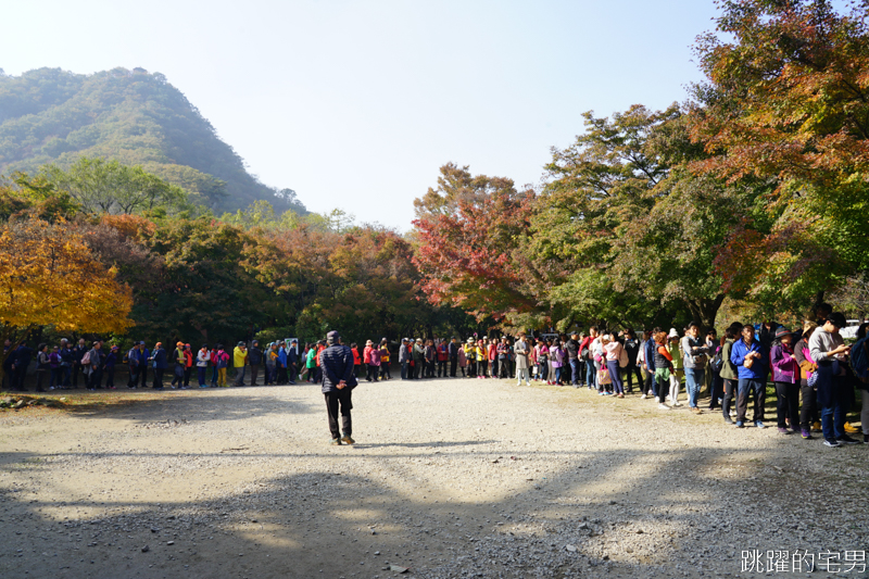 [韓國賞楓]2019內藏山賞楓一日遊，全羅道內藏山楓葉季 綠黃相間 紅葉不同層次的美麗 11/1楓況 全紅大約還要1星期 내장산內藏山等你來唷