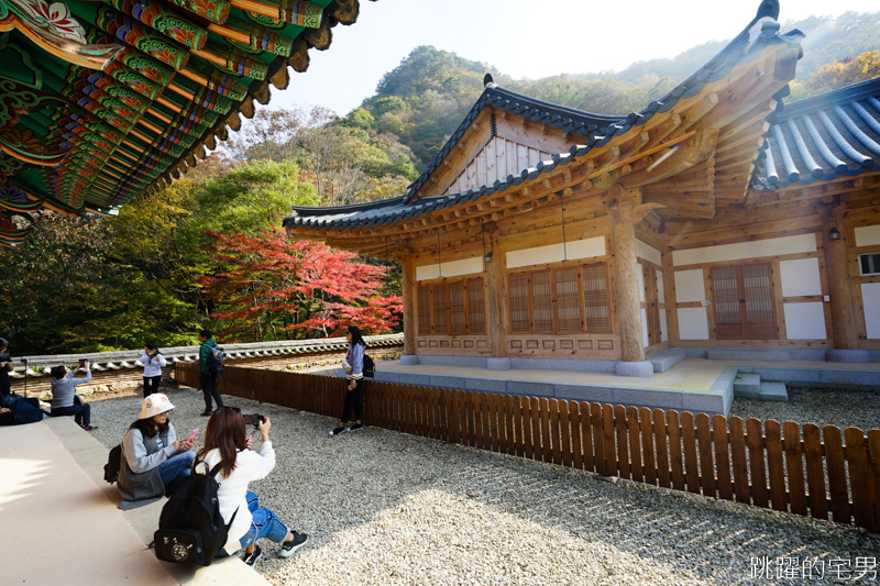 [韓國賞楓]2019內藏山賞楓一日遊，全羅道內藏山楓葉季 綠黃相間 紅葉不同層次的美麗 11/1楓況 全紅大約還要1星期 내장산內藏山等你來唷