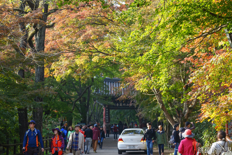 [韓國賞楓]2019內藏山賞楓一日遊，全羅道內藏山楓葉季 綠黃相間 紅葉不同層次的美麗 11/1楓況 全紅大約還要1星期 내장산內藏山等你來唷