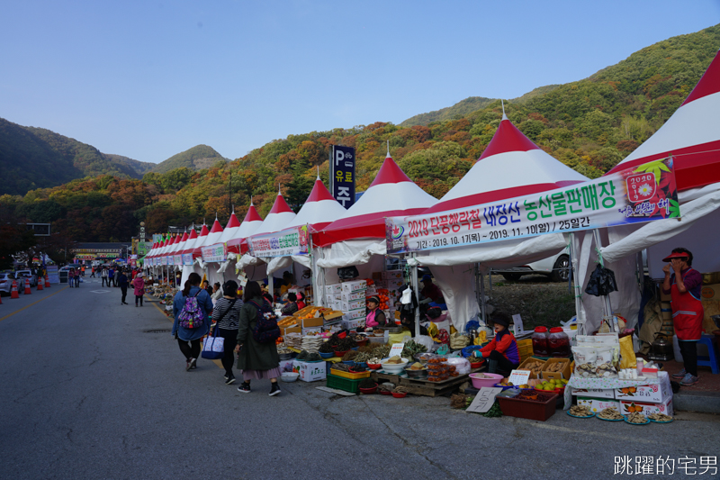 [韓國賞楓]2019內藏山賞楓一日遊，全羅道內藏山楓葉季 綠黃相間 紅葉不同層次的美麗 11/1楓況 全紅大約還要1星期 내장산內藏山等你來唷