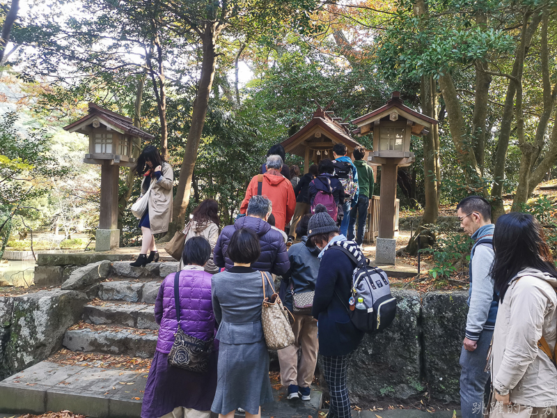 [日本島根景點]出雲大社-1年1次神在月 我在雙11參加緣結大祭 一次拜完日本800萬神明 讓你結好緣幸福 岡山島根自駕 島根行程推薦