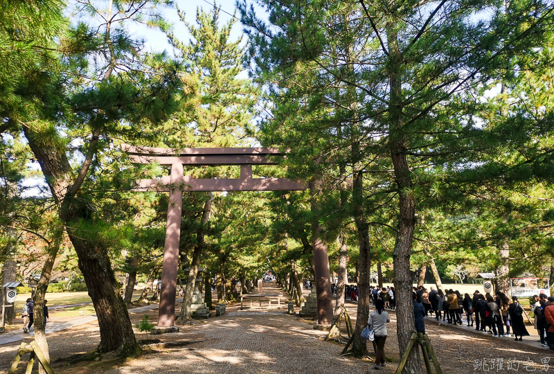 [日本島根景點]出雲大社-1年1次神在月 我在雙11參加緣結大祭 一次拜完日本800萬神明 讓你結好緣幸福 岡山島根自駕 島根行程推薦