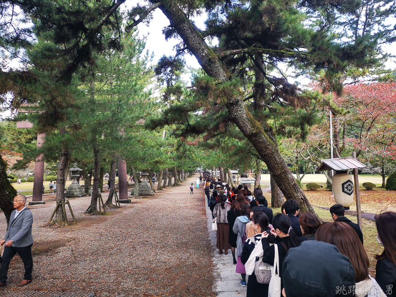 [日本島根景點]出雲大社-1年1次神在月 我在雙11參加緣結大祭 一次拜完日本800萬神明 讓你結好緣幸福 島根vlog 岡山島根自駕 島根行程推薦