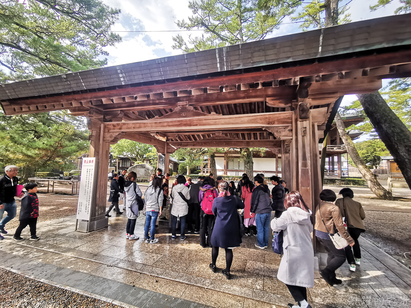 [日本島根景點]出雲大社-1年1次神在月 我在雙11參加緣結大祭 一次拜完日本800萬神明 讓你結好緣幸福 岡山島根自駕 島根行程推薦