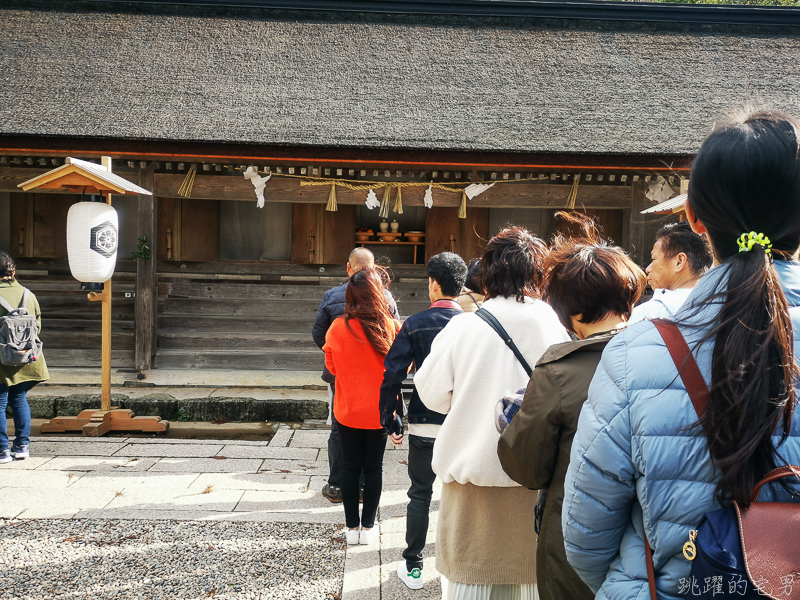 [日本島根景點]出雲大社-1年1次神在月 我在雙11參加緣結大祭 一次拜完日本800萬神明 讓你結好緣幸福 島根vlog 岡山島根自駕 島根行程推薦