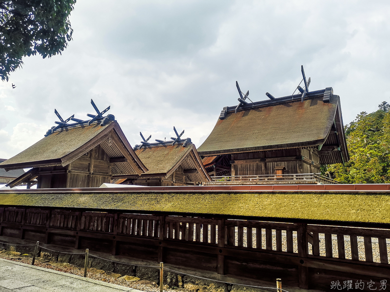 [日本島根景點]出雲大社-1年1次神在月 我在雙11參加緣結大祭 一次拜完日本800萬神明 讓你結好緣幸福 岡山島根自駕 島根行程推薦