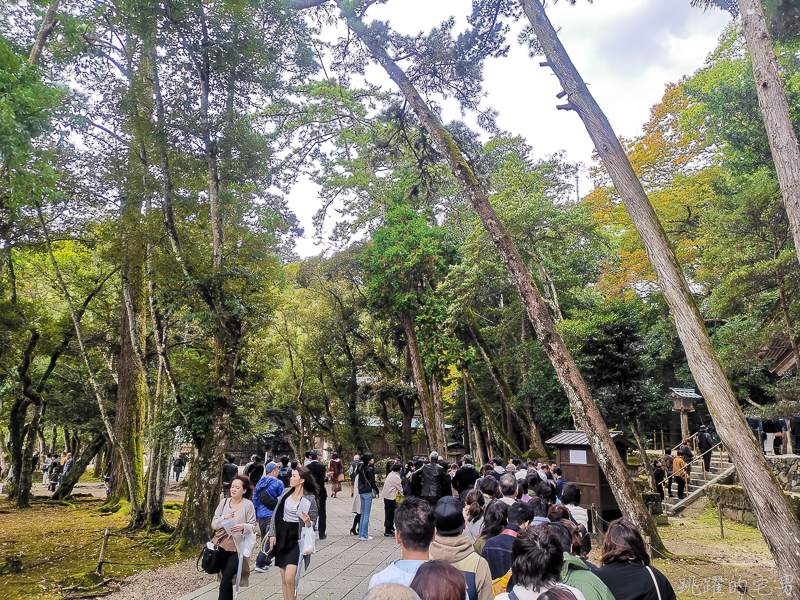 [日本島根景點]出雲大社-1年1次神在月 我在雙11參加緣結大祭 一次拜完日本800萬神明 讓你結好緣幸福 岡山島根自駕 島根行程推薦