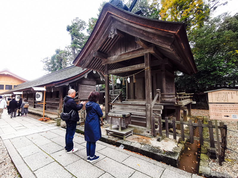 [日本島根景點]出雲大社-1年1次神在月 我在雙11參加緣結大祭 一次拜完日本800萬神明 讓你結好緣幸福 岡山島根自駕 島根行程推薦