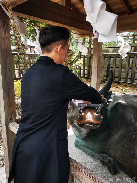 [日本島根景點]出雲大社-1年1次神在月 我在雙11參加緣結大祭 一次拜完日本800萬神明 讓你結好緣幸福 岡山島根自駕 島根行程推薦