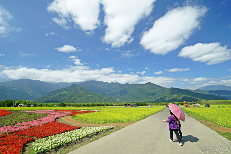 [花蓮春節資訊]2020花蓮春節賞花景點總整理-過年營業餐廳&過年交通 太魯閣交通管制 春節免費專車路線圖 過年花蓮醫院資訊 花蓮市花海、吉安花海、壽豐花海(附上google地圖) 花蓮美食懶人包 花蓮景點推薦