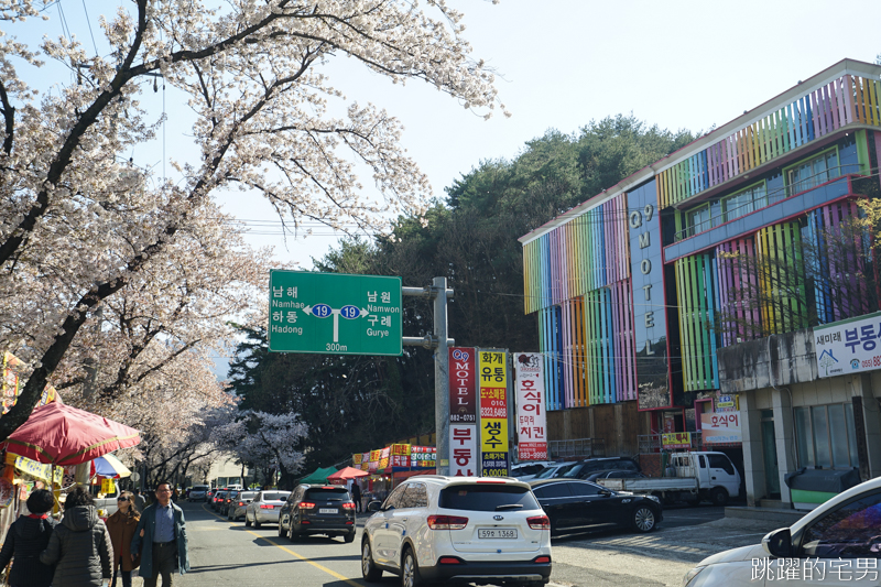 [韓國慶尚南道旅遊]河東十里櫻花路십리벚꽃길- 這不是標題黨 絕對認真櫻花樹海隧道 全長不只6公里  沒有你看到完 只有你看到累 此生必看韓國櫻花景點