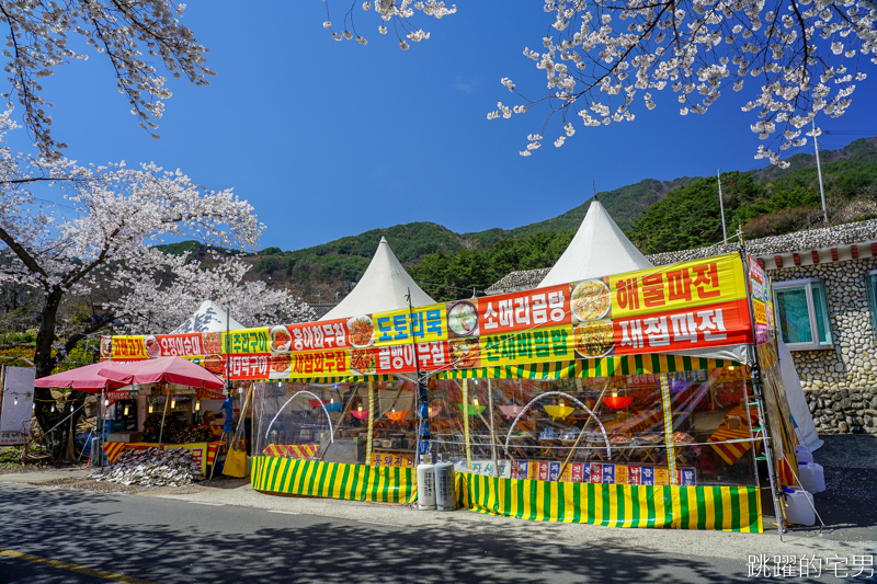 [韓國慶尚南道旅遊]河東十里櫻花路십리벚꽃길- 這不是標題黨 絕對認真櫻花樹海隧道 全長不只6公里  沒有你看到完 只有你看到累 此生必看韓國櫻花景點