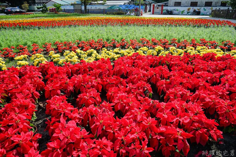 [花蓮春節資訊]2020花蓮春節賞花景點總整理-過年營業餐廳&過年交通  太魯閣交通管制 春節免費專車路線圖  花蓮市花海、吉安花海、壽豐花海(附上google地圖) 花蓮美食懶人包 花蓮景點推薦