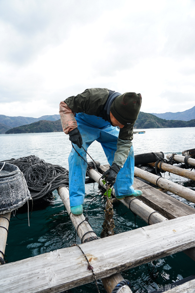 [日本愛媛宇和島住宿]漁家民宿遊海- 一泊二食鯛魚全餐  傳承三代的漁夫料理  新鮮美味滿分  還可體驗珍珠耳環DIY&現採珍珠 提供中文訂房 愛媛開車自駕 ぎょかみんしゅく　ゆうみん    yamashita-pearl