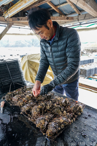 [日本愛媛宇和島住宿]漁家民宿遊海- 一泊二食鯛魚全餐  傳承三代的漁夫料理  新鮮美味滿分  還可體驗珍珠耳環DIY&現採珍珠 提供中文訂房 愛媛開車自駕 ぎょかみんしゅく　ゆうみん    yamashita-pearl