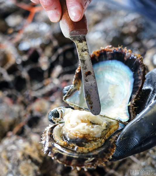 [日本愛媛宇和島住宿]漁家民宿遊海- 一泊二食鯛魚全餐  傳承三代的漁夫料理  新鮮美味滿分  還可體驗珍珠耳環DIY&現採珍珠 提供中文訂房 愛媛開車自駕 ぎょかみんしゅく　ゆうみん    yamashita-pearl