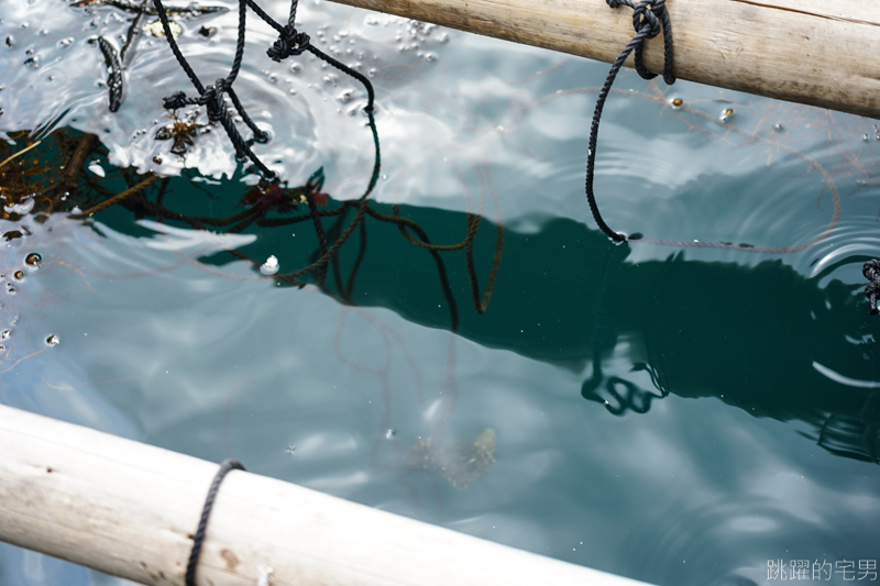 [日本愛媛宇和島住宿]漁家民宿遊海- 一泊二食鯛魚全餐  傳承三代的漁夫料理  新鮮美味滿分  還可體驗珍珠耳環DIY&現採珍珠 提供中文訂房 愛媛開車自駕 ぎょかみんしゅく　ゆうみん    yamashita-pearl