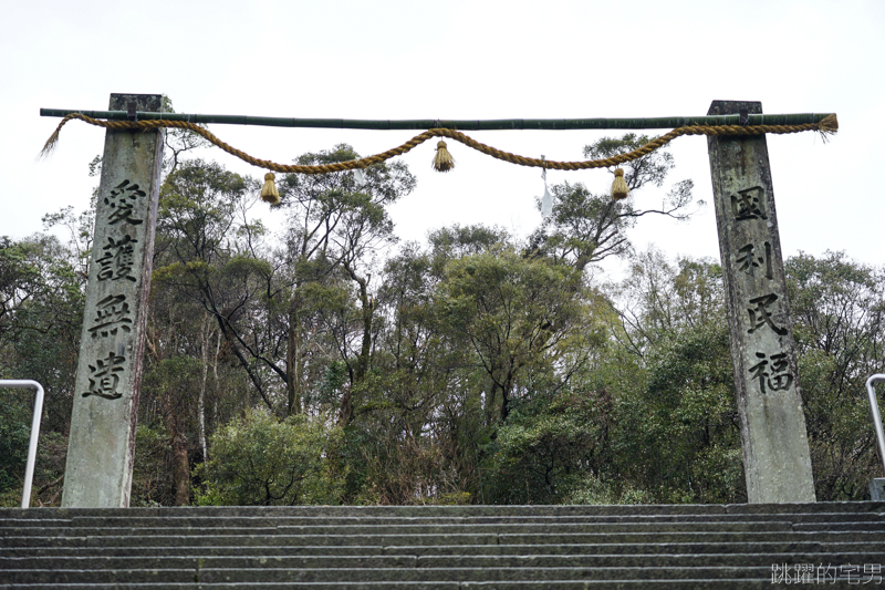 [愛媛宇和島景點]和靈神社-日本最大石製鳥居，每年7月22日至24日舉辦 和靈大祭 宇和島牛鬼祭 著名四國祭典 和霊神社 愛媛自駕行程