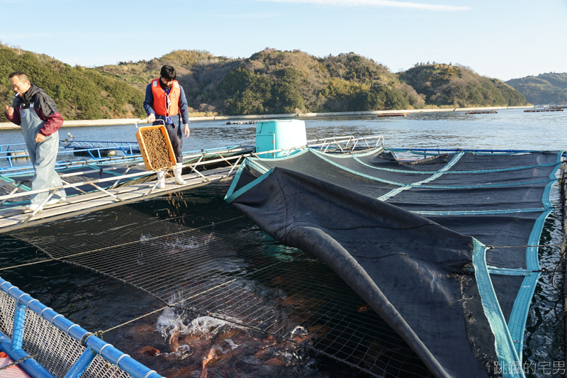 [愛媛宇和島名產]道之驛 港綠洲宇和島 KISAIYA廣場-秀長水產 不定期鮪魚解體秀 免費吃鮪魚  宇和島大型名產店，宇和島海鮮&農作物&水果   四國旅遊 四國自駕 愛媛行程