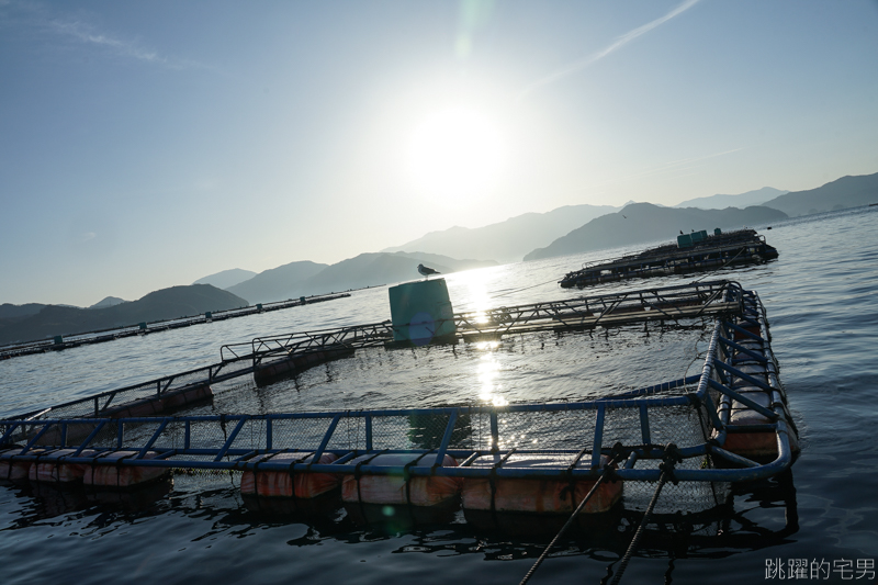 [愛媛宇和島名產]道之驛 港綠洲宇和島 KISAIYA廣場-秀長水產 不定期鮪魚解體秀 免費吃鮪魚  宇和島大型名產店，宇和島海鮮&農作物&水果   四國旅遊 四國自駕 愛媛行程