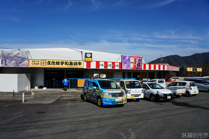 [愛媛宇和島旅遊]宇和島市營鬥牛場- 日本鬥牛文化 牛角撞擊聲響充滿圓型競技場 全日本9處鬥牛場 僅有宇和島固定舉辦鬥牛大會 宇和島闘牛  原來日本有鬥牛可以看