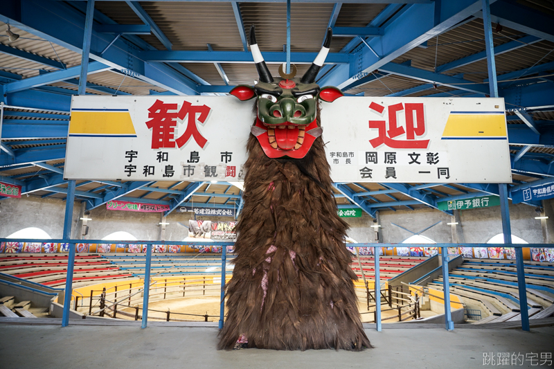 [愛媛宇和島旅遊]宇和島市營鬥牛場- 日本鬥牛文化 牛角撞擊聲響充滿圓型競技場 全日本9處鬥牛場 僅有宇和島固定舉辦鬥牛大會 宇和島闘牛  原來日本有鬥牛可以看