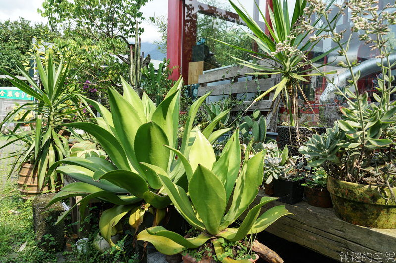 [花蓮早午餐]隱身花蓮山腳下的玻璃屋咖啡廳  FUN Table Cafe  心目中第一名的溫沙拉  玫瑰檸檬塔 花蓮咖啡廳推薦