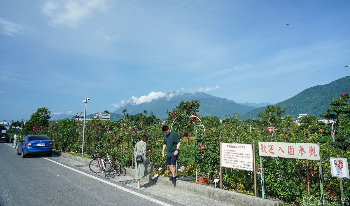 花蓮賞花景點   嘉德萱草花田2020  平地金針花海占地廣大 花種更多樣  花季至端午節連假都看得到 IG網美熱門景點 花蓮免費景點