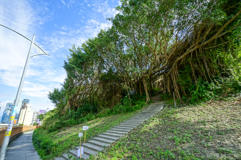 [花蓮景點]曼波海洋生態休閒園區-花蓮也有地下坑道?! 感受50年前戰爭緊張氣氛 七星潭四八高地戰備坑道  提供專人導覽  春季波斯菊花海 七星潭附近景點 花蓮旅遊