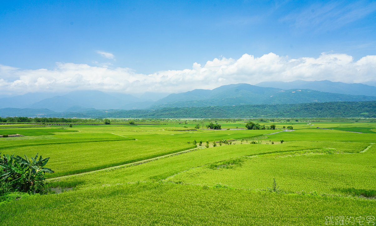 [花蓮旅遊推薦] 瑞穗玉里最美風景 花蓮193縣道景點  微微涼風走進清新稻海 松浦天堂路