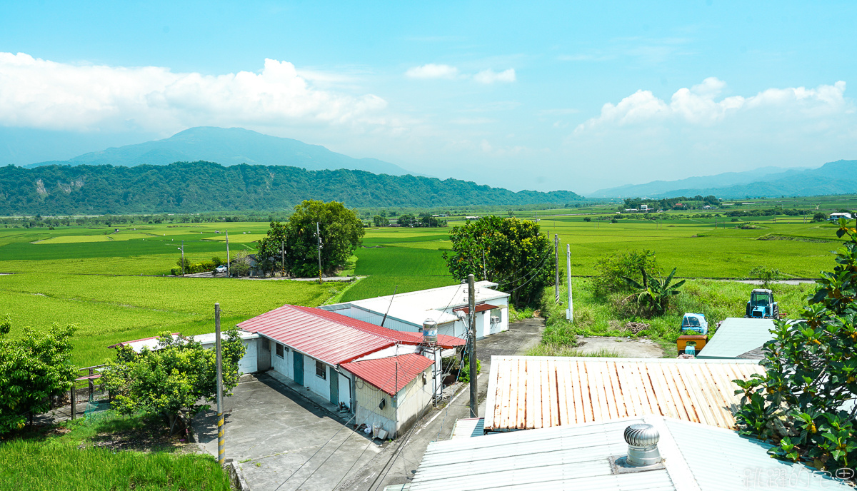 [花蓮旅遊推薦] 瑞穗玉里最美風景 花蓮193縣道景點  微微涼風走進清新稻海 松浦天堂路