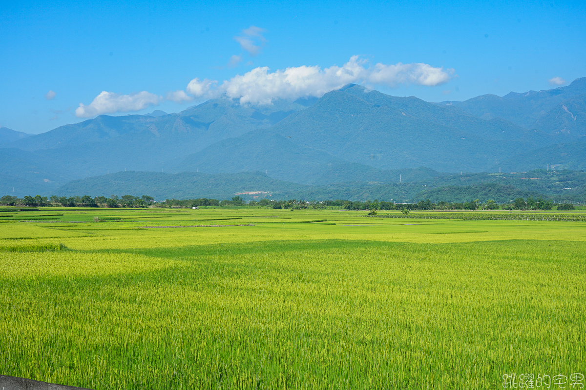 [花蓮旅遊推薦] 瑞穗玉里最美風景 花蓮193縣道景點  微微涼風走進清新稻海 松浦天堂路