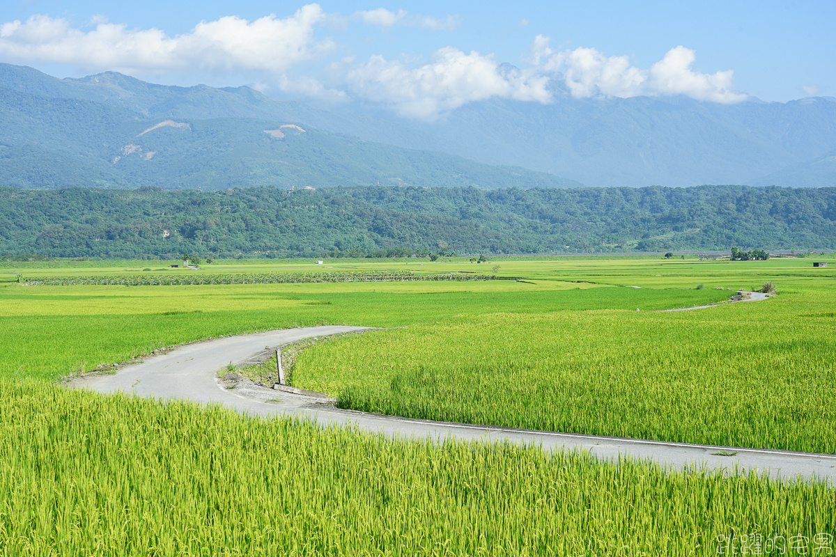 [花蓮旅遊推薦] 瑞穗玉里最美風景 花蓮193縣道景點  微微涼風走進清新稻海 松浦天堂路