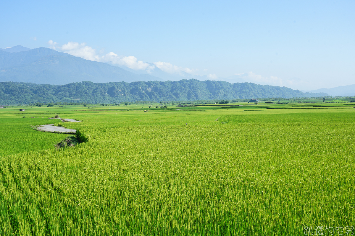 [花蓮旅遊推薦] 瑞穗玉里最美風景 花蓮193縣道景點  微微涼風走進清新稻海 松浦天堂路